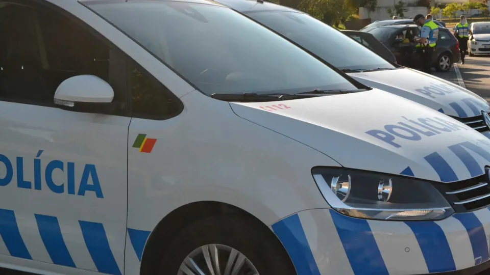 PSP deteta maus-tratos e irregularidades em lar ilegal em Sintra