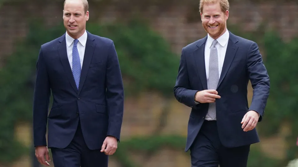 William rejeita projetos sobre Diana por medo de conflito com Harry