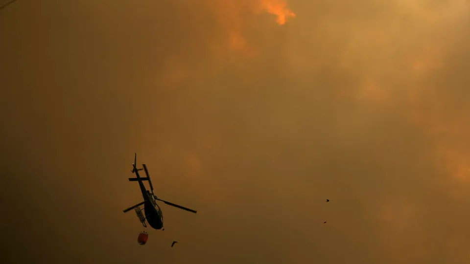 Region of Leiria: More fires, but less area burned in 2026