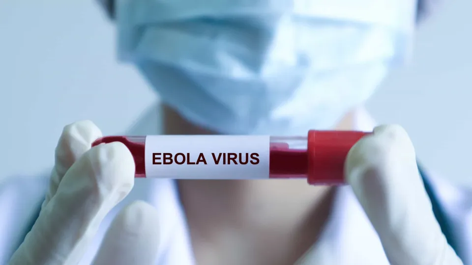 Saúde mental é prioridade na resposta à epidemia de Ébola na RDCongo