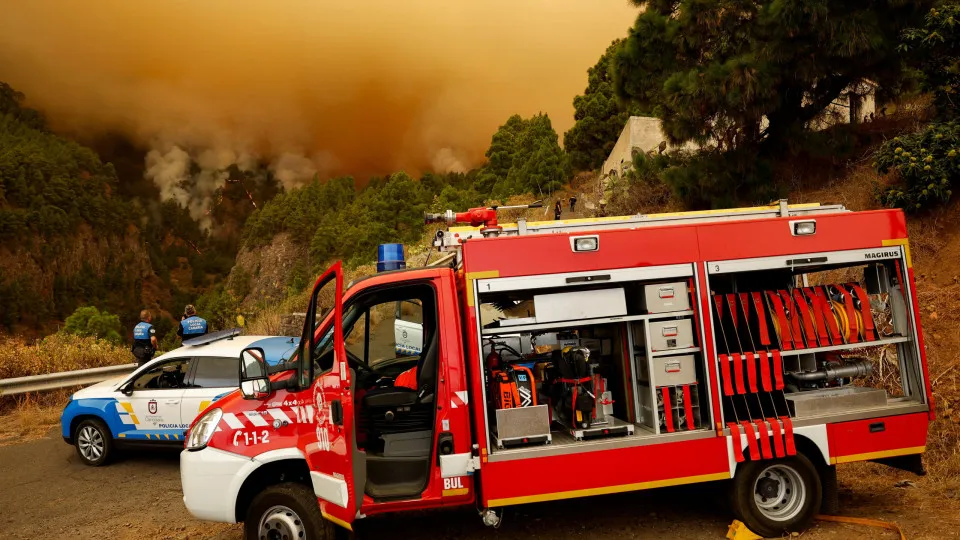 Man convicted of forest fire arrested again in Vale de Cambra