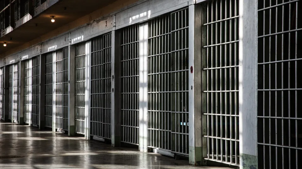 Leiria: Prevention for drug trafficking and computer fraud