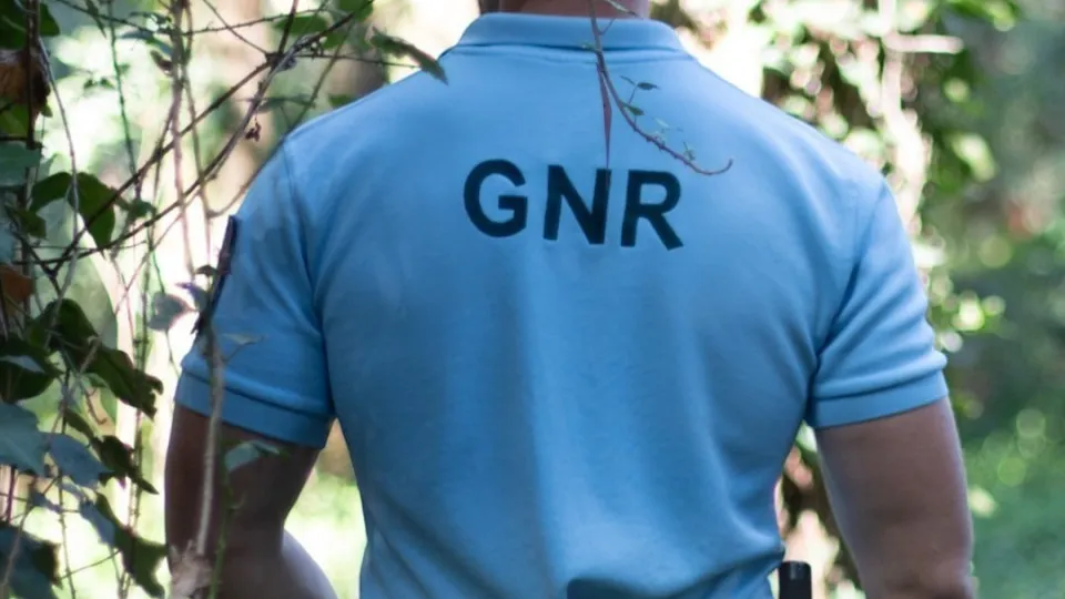 GNR constitutes eight defendants for drug trafficking in Moncarapacho