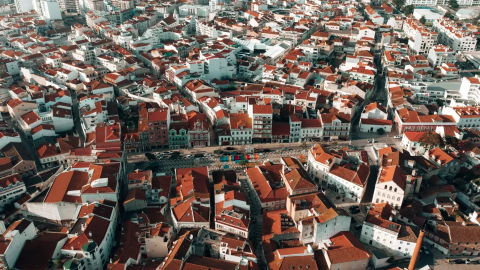 Mayor of the Queen's Caldas removes the councilwoman