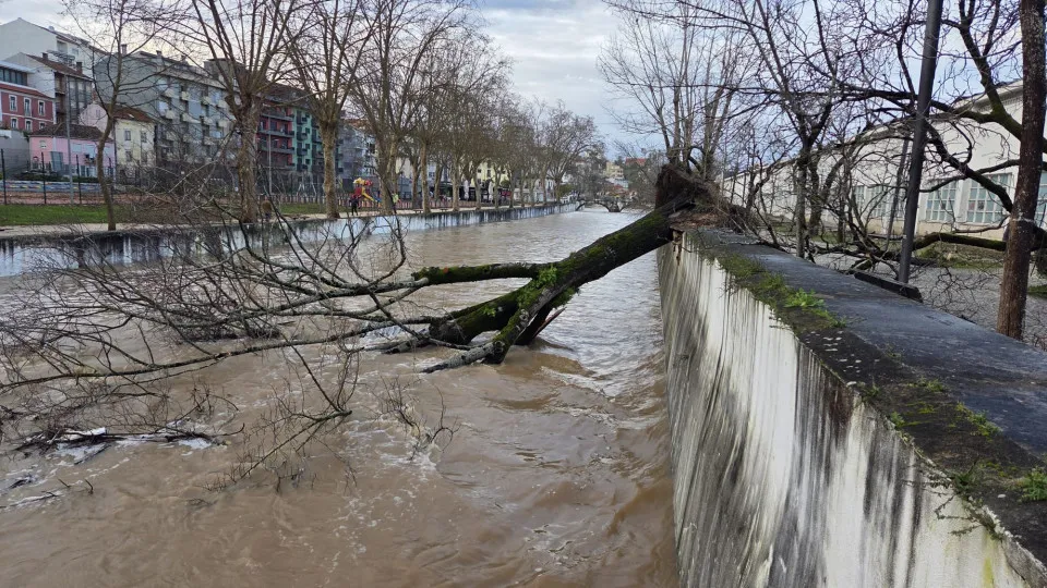 Civil Protection of the Navy Large has 22 generators in strategic reserve
