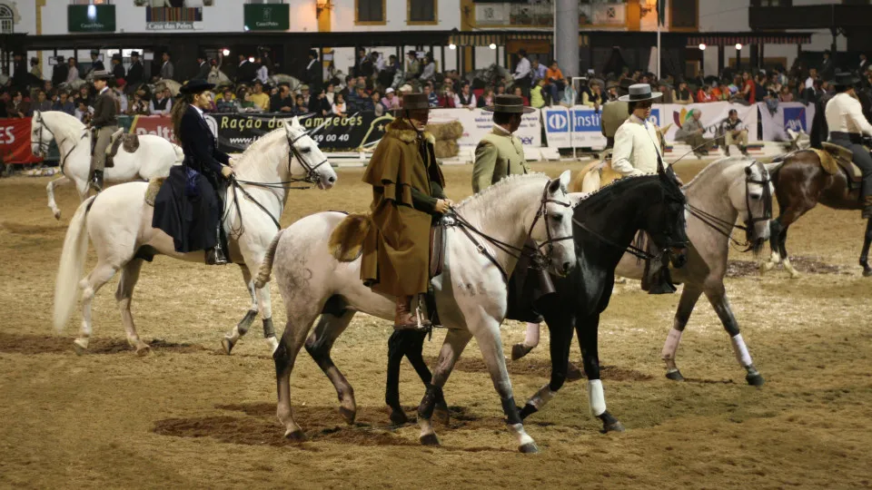 Golegã Fair is recognized as intangible cultural heritage