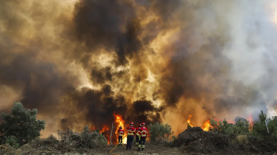 Vouzela at maximum fire risk, 50 councils on alert