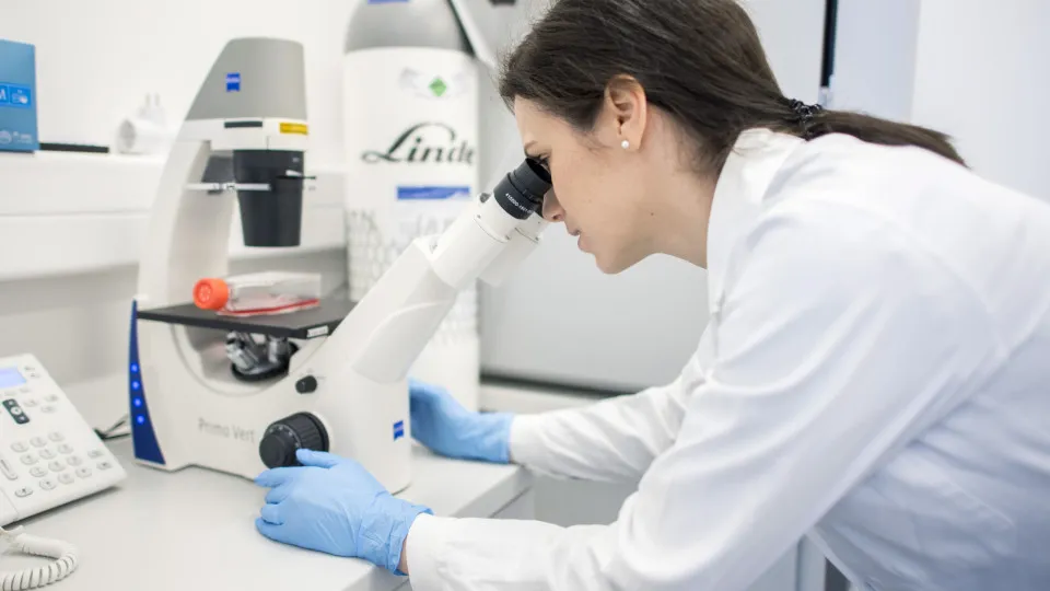 Cancer research projects run out of funds. PSD asks for answers