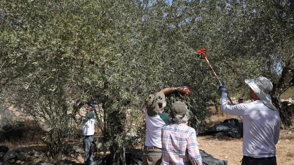 Itália pede explicações a Israel após detenção de ativistas na Cisjordânia