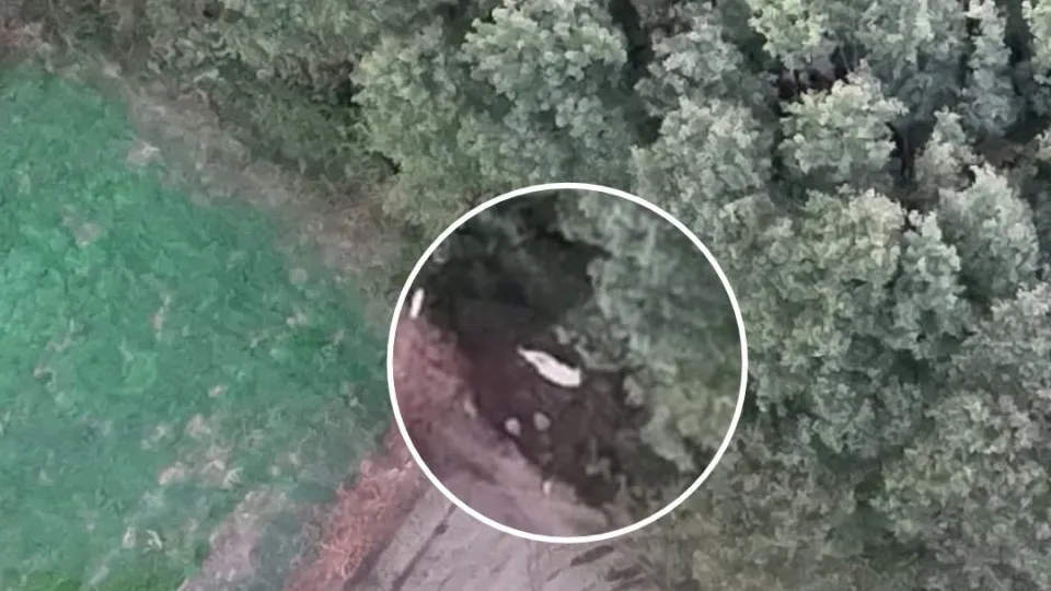 Elderly missing in Aveiro located by GNR drone
