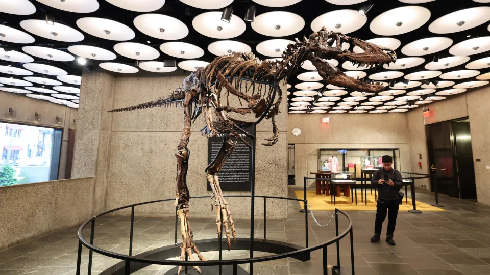Este dinossauro é dos fósseis mais caros do mundo: 47 milhões de dólares