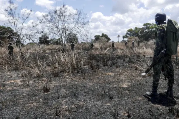 Mozambique: Three terrorists shot by Marines in Mocímboa da Praia